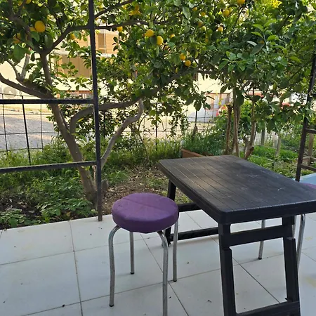 Cesme Pansiyon Homestay